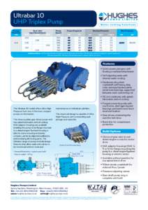 Ultrabar 10 UHP Triplex Pump Plunger Diameter mm