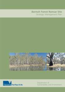 Microsoft Word - Barmah Forest SMP.doc