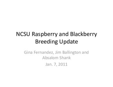 NCSU Raspberry and Blackberry  Breeding Update  Gina Fernandez, Jim Ballington and  Absalom Shank  Jan. 7, 2011 