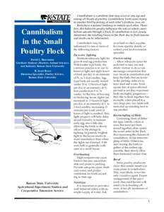 Cannibalism in the Small Poultry Flock David L. Hasemann Graduate Student—Masters, Animal Sciences and Industry, Kansas State University