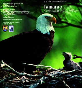 Tamarac National Wildlife Refuge[removed]County Hwy 26 Rochert, MN[removed]Phone: [removed]People with hearing Impairments may reach Tamarac through Minnesota’s State Relay Service at