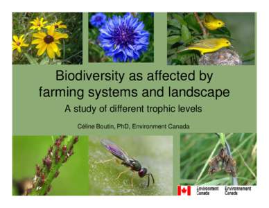 Biodiversity as affected by farming systems and landscape: A study of different trophic levels