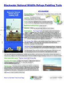 Blackwater River / Academi / River Blackwater /  Ireland / Blueway / Geography of the United States / Monongahela National Forest / Blackwater National Wildlife Refuge