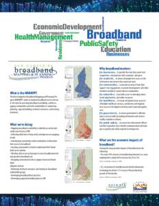 Why broadband matters:  What is the NHBMPP? The New Hampshire Broadband Mapping and Planning Program (NHBMPP) works to improve broadband access and use in the state by assessing broadband availability, and by engaging co