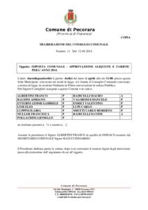 Comune di Pecorara (Provincia di Piacenza) COPIA DELIBERAZIONE DEL CONSIGLIO COMUNALE Numero 11 Del[removed]