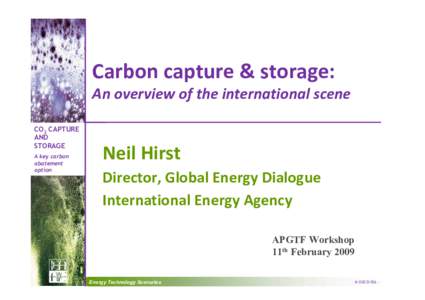 Carbon capture & storage: An overview of the international scene CO2 CAPTURE AND STORAGE A key carbon