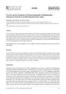 Zootaxa, Two new species of montane web-footed salamanders (Plethodontidae...