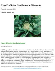 Agriculture / Cabbage / Brevicoryne brassicae / Striped flea beetle / Biological pest control / Delia radicum / Aphid / Thrips / Beetle / Agricultural pest insects / Phyla / Protostome
