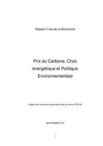 Rapport Final de la Recherche  Prix du Carbone, Choc énergétique et Politique Environnementale