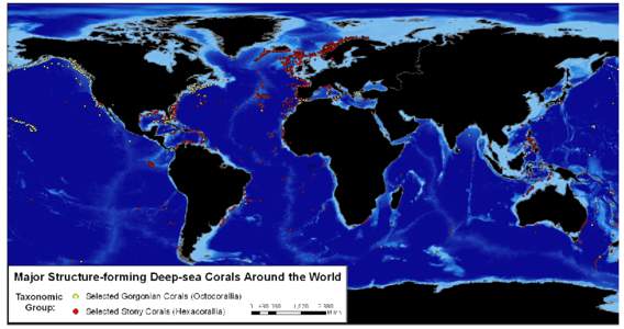 Major structure-forming deep-sea corals around the world