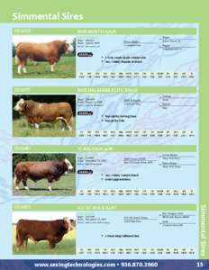 2012 Beef Sires Catalog - Sexing Technologies