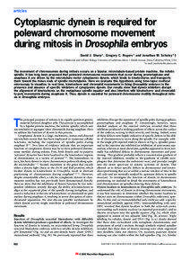 articles  Cytoplasmic dynein is required for