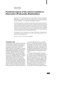 Marco P. Ferretti Università di Firenze Functional aspects of the enamel evolution in Mammuthus (Proboscidea, Elephantidae) Ferretti, M. P., Functional aspects of the enamel evolution in Mammuthus (Proboscidea,