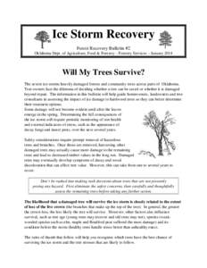 Ice Storm Recovery Forest Recovery Bulletin #2 Oklahoma Dept. of Agriculture, Food & Forestry – Forestry Services – January 2014 Will My Trees Survive? The severe ice storms heavily damaged forests and community tree