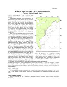 April[removed]ROUGH-TOOTHED DOLPHIN (Steno bredanensis): Western North Atlantic Stock STOCK DEFINITION