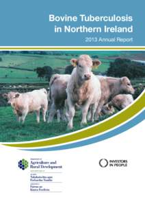 Bovine Tuberculosis in Northern Ireland 2013 Annual Report  Bovine Tuberculosis in Northern Ireland 2013 Annual Report