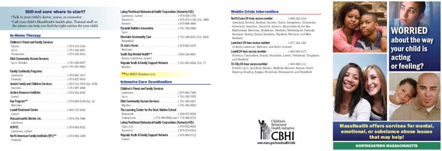 African-American single-parent family