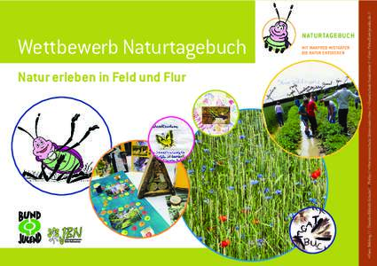 Natur erleben in Feld und Flur  • Fam. Behling // • Theodor-Billroth-Schule// • Phillip // • Montessorischule Unterneukirchen // • Grundschule Neukloster // • Foto: Petra Bork/pixelio.de // Wettbewerb Naturta