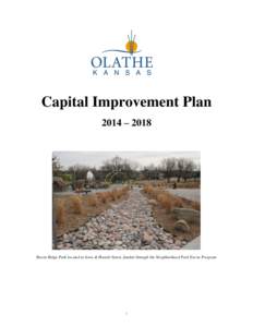 Capital Improvement Plan 2014 – 2018 Raven Ridge Park located at Iowa & Harold Street, funded through the Neighborhood Park Excise Program  1