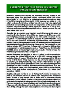 Supporting High Rice Yields in Myanmar with Adequate Nutrition Myanmar’s national food security and economy both rely heavily on the agriculture sector. The agriculture industry contributed around 26% of the country’