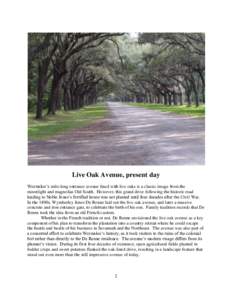 Live Oak Avenue, present day Wormsloe’s mile-long entrance avenue lined with live oaks is a classic image from the moonlight and magnolias Old South. However, this grand drive following the historic road leading to Nob