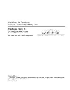 Combined Strategic and Management Plan