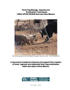 Feral Hog Biology, Impacts and Eradication Techniques USDA APHIS Wildlife Services New Mexico NM feral hog aggressively defending feed against domestic cattle. USDA/APHIS/WS