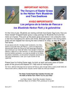 IMPORTANT NOTICE: The Dangers of Easter Grass to the Harbor Park Bluebirds and Tree Swallows AVISO IMPORTANTE: Los peligros de la hierba de Pascua a