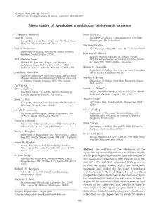 Tricholomataceae / Inocybaceae / Psilocybe / Entolomataceae / Hygrophoraceae / Mycenaceae / Synapomorphy / Nidulariaceae / Agaric / Agaricales / Mycology / Biology