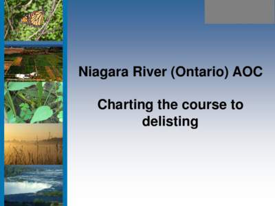 Niagara River (Ontario) AOC Charting the course to delisting What is “Delisting” an AOC • Has demonstrated that the criteria for restoration of beneficial