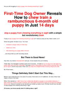 Are you still struggling to stop a puppy from chewing everything in sight?  First-Time Dog Owner Reveals How to chew train a rambunctious 6-month old puppy in Just 14 days