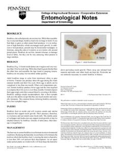 BOOKLICE Booklice, also called psocids, are not true lice. While they resemble lice in size and shape, booklice feed only on fungi or mold. If you find them in grain or other stored food products, it is an indication of 