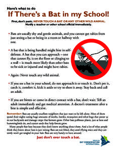 Here’s what to do  If There’s a Bat in my School! First, don’t panic. NEVER TOUCH A BAT OR ANY OTHER WILD ANIMAL. Notify a teacher or other school official immediately.