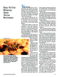 Easy-To-Use Bioassay Spots Varroa Resistance