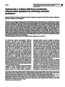 Cytochrome c oxidase deficiency accelerates mitochondrial apoptosis by activating ceramide synthase 6