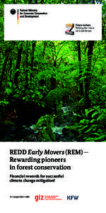 REDD Early Movers (REM) — Rewarding pioneers in forest conservation Financial rewards for successful climate change mitigation!