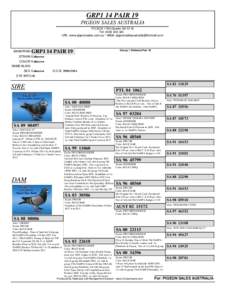 GRP1 14 PAIR 19 PIGEON SALES AUSTRALIA PO BOX 1760 Gawler SA 5118 Tel: URL: www.pigeonsales.com.au * eMail: 