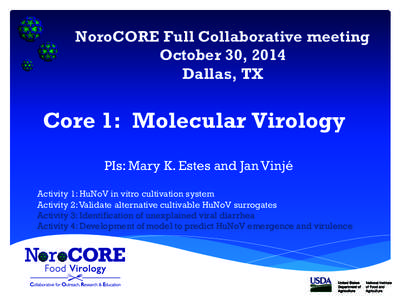 NoroCORE Full Collaborative meeting October 30, 2014 Dallas, TX Core 1: Molecular Virology PIs: Mary K. Estes and Jan Vinjé