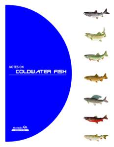 NOTES ON  COLDWATER FISH coldwater fish