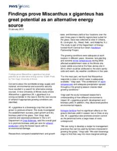 Findings prove Miscanthus x giganteus has great potential as an alternative energy source