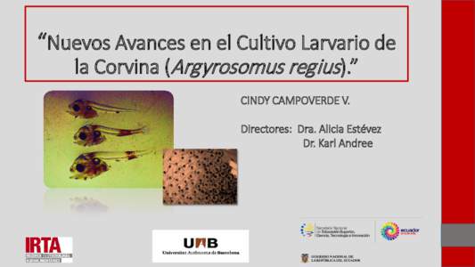 “Nuevos Avances en el Cultivo Larvario de la Corvina (Argyrosomus regius).” CINDY CAMPOVERDE V. Directores: Dra. Alicia Estévez Dr. Karl Andree