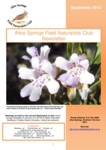 September[removed]Alice Springs Field Naturalists Club Newsletter  A beautiful Eremophila paisleyi in full flower was discovered on the Finke River trip with no others of its kind to be seen nearby (see p. 5). Photo by Bar