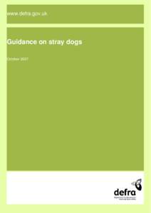 www.defra.gov.uk  Guidance on stray dogs October 2007  Department for Environment, Food and Rural Affairs