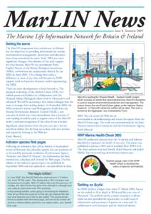 MarLIN News Issue 8. Summer 2005 The Marine Life Information Network for Britain & Ireland Setting the scene The MarLIN programme has evolved over its lifetime