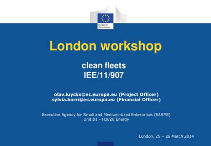 London workshop clean fleets IEEProject Officer)  (Financial Officer) Executive Agency for Small and Medium-sized Enterprises (EASME)