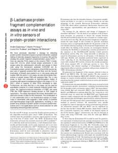 © 2002 Nature Publishing Group http://biotech.nature.com  TECHNICAL REPORT β-Lactamase protein fragment complementation