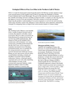 Ecological Effects of Sea Level Rise in the Northern Gulf of Mexico NOAA’s Center for Sponsored Coastal Ocean Research (CSCOR) has recently initiated a largescale research project in the Northern Gulf of Mexico includi