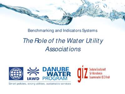 Benchmarking and Indicators Systems  The Role of the Water Utility Associations  Benchmarking (Pillar III)