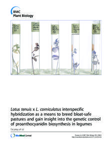 Lotus tenuis x L. corniculatus interspecific hybridization as a means to breed bloat-safe pastures and gain insight into the genetic control of proanthocyanidin biosynthesis in legumes Escaray et al. Escaray et al. BMC P