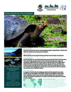 Ecology / Ecoregions / Pinzón Island / Galapagos Land Iguana / Marine Iguana / Galápagos National Park / Galapagos Hawk / Galápagos Province / Giant tortoise / Squamata / Biogeography / Galápagos Islands